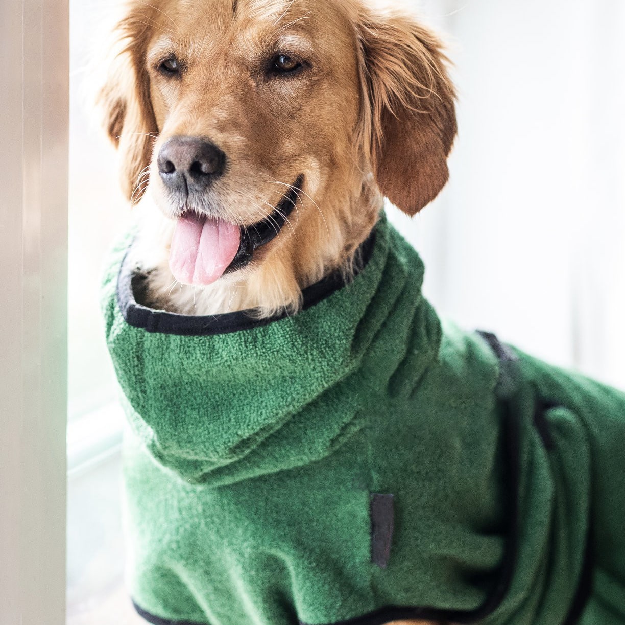 PupDry | Wearable Quick-Dry Towel